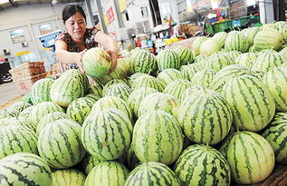 市農副批發市場水果區 品種全供應足，購銷兩旺